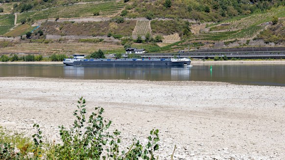 August 2026, Extremes Niedrigwasser am Mittelrhein***Der Rhein bei Trechtingshausen *** August 2026, Extremely Low Water Levels on the Middle Rhine***The Rhine near Trechtingshausen Copyright: xUdoxHe ...