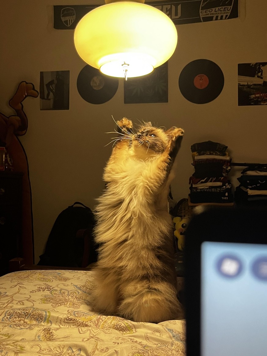 she’s worshiping something beyond our comprehension
accidental renaissance
https://www.reddit.com/r/AccidentalRenaissance/comments/1w05y59/shes_worshiping_something_beyond_our_comprehension/#lightbox