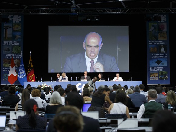 Bundesrat Alain Berset hat am Samstag in Genf die 18. Artenschutzkonferenz Cites eröffnet.