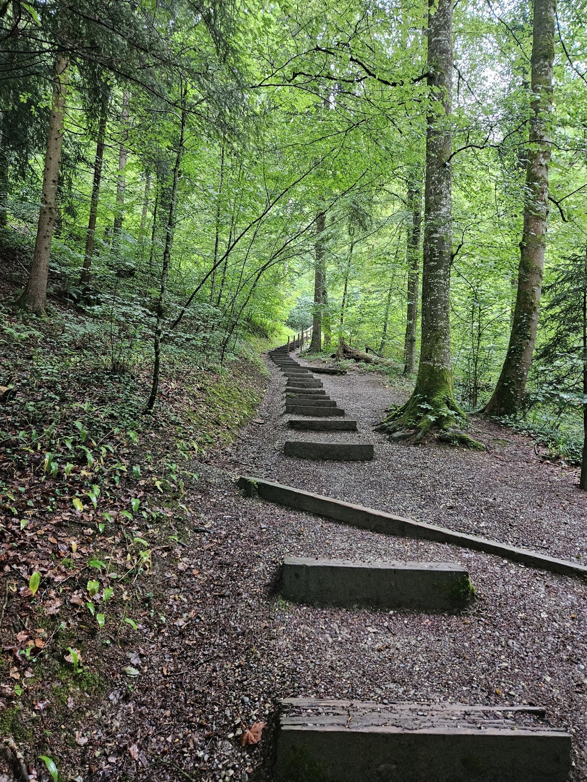 Kyburg Treppenwandern Treppen wandern schweiz Rauszeit