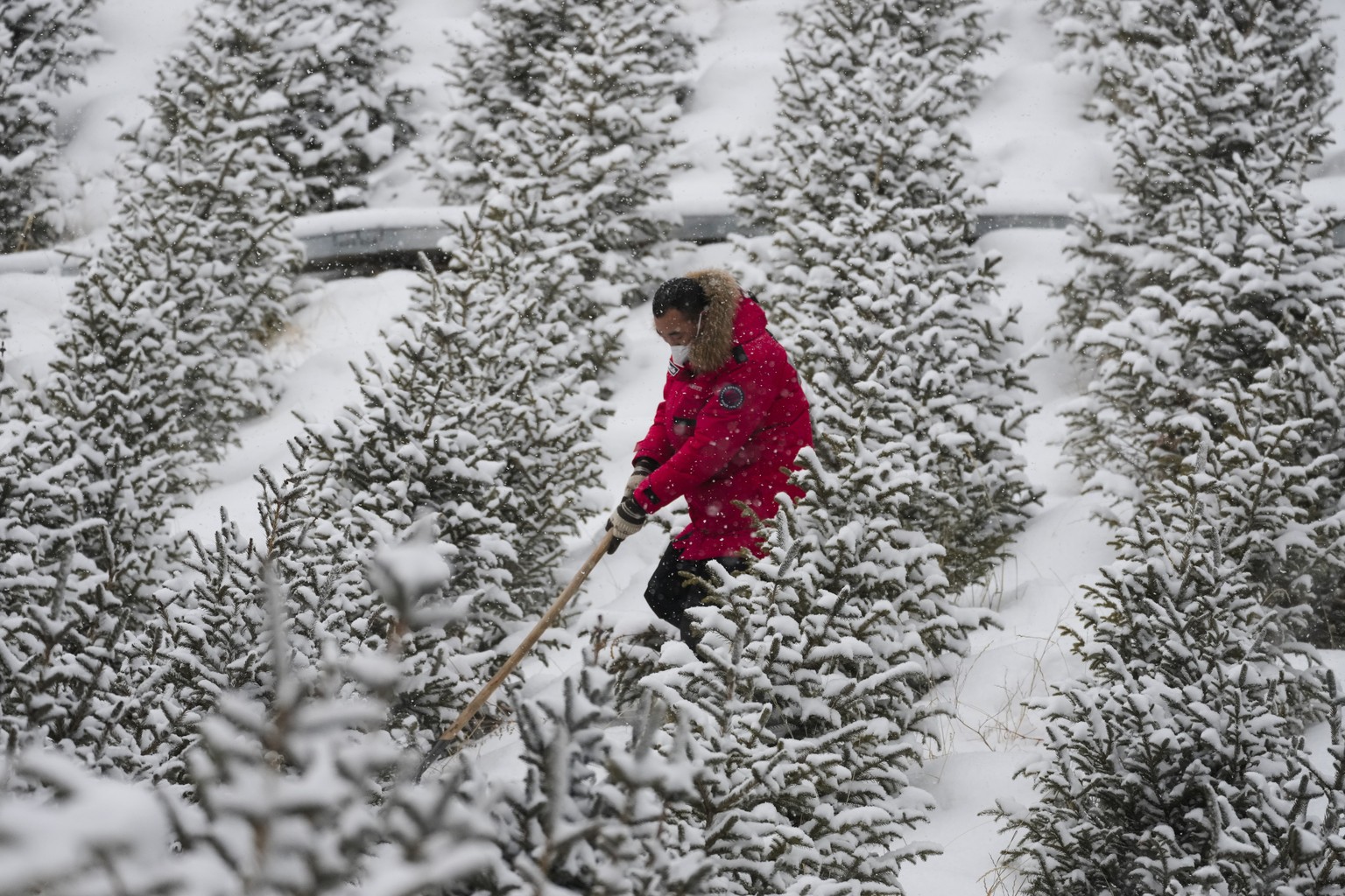 A worker shovels snow at Zhangjiakou National Ski Jumping Centre during a Gundersen large hill/10km official training session at the 2022 Winter Olympics, Sunday, Feb. 13, 2022, in Zhangjiakou, China. ...