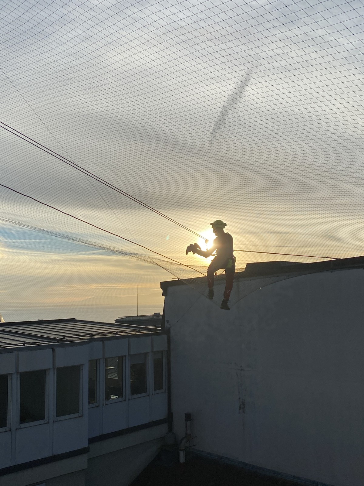 Sauvetage d'un pigeon à Lausanne (VD), jeudi 22 octobre 2026.