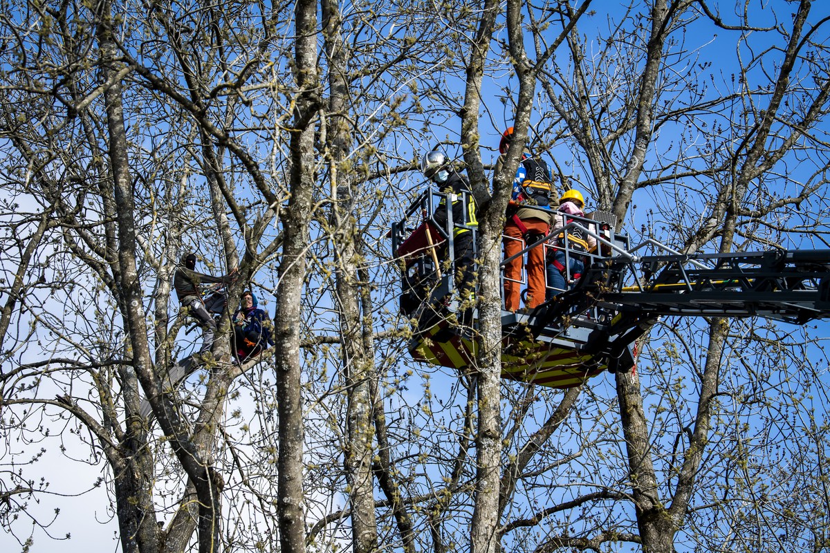 Un pompier, un medecin et une negociatrice discutent avec deux zadistes perches dans les arbres qui resistent encore apres l'evacuation de la ZAD de la Colline (Zone A Defendre) proche de la carr ...