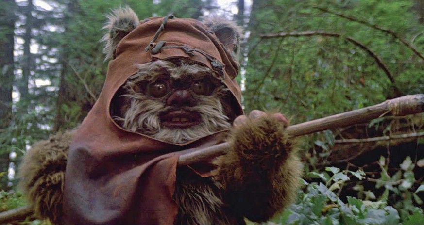 return of the jedi ewok star wars film 
https://www.themarysue.com/return-of-the-jedi-love/