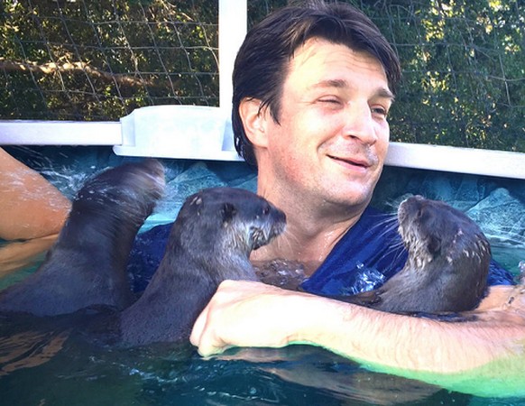 Otter-König Nathan Fillion.