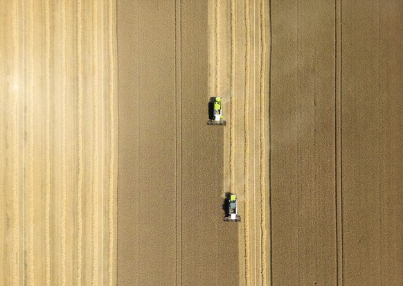 KEYPIX - 10.07.2026, Nordrhein-Westfalen, Frille: Mit zwei Mähdreschern ernten Landwirte ein Getreidefeld ab. (Luftaufnahme mit einer Drohne). (KEYSTONE/DPA/Boris Roessler)