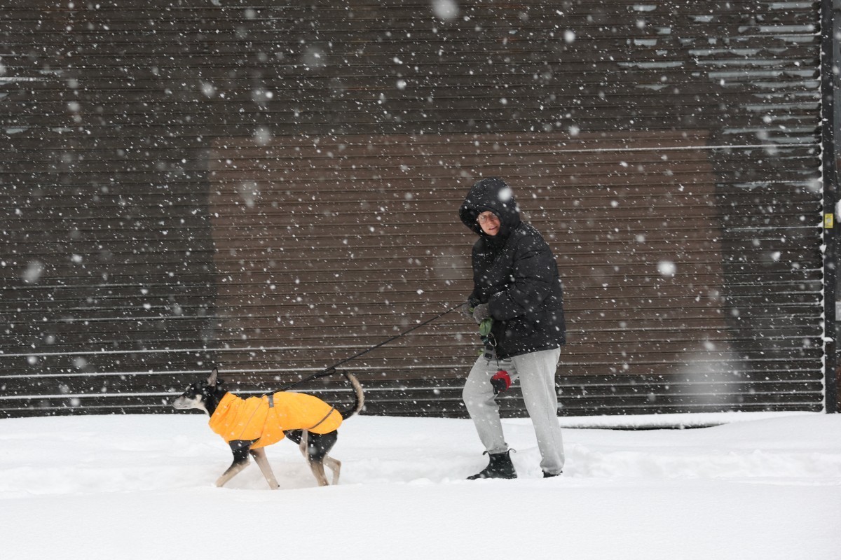 A person walks a dog in the falling snow during a winter storm in the Manhattan borough of New York City on February 23, 2026. New York ordered drivers off the road and shut down schools on Monday, wh ...