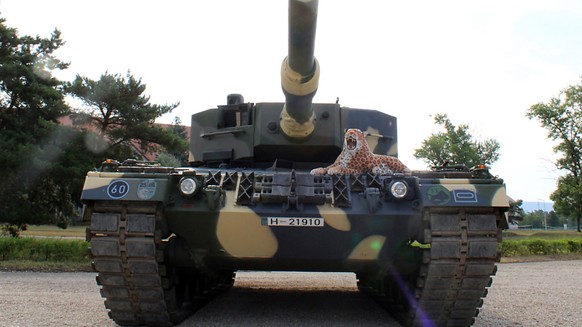 Ein aus Deutschland zu Ausbildungszwecken an die 25. Schützenbrigade der ungarischen Armee gelieferter Panzer des Typs Leopard 2 A4 steht auf dem Kasernengelände. Foto: Gregor Mayer/dpa