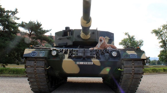 The barracks grounds contain a Leopard 2 A4 tank that was supplied from Germany to the 25th Rifle Brigade of the Hungarian Army for training purposes.  Photo: Gregor Mayer/dpa
