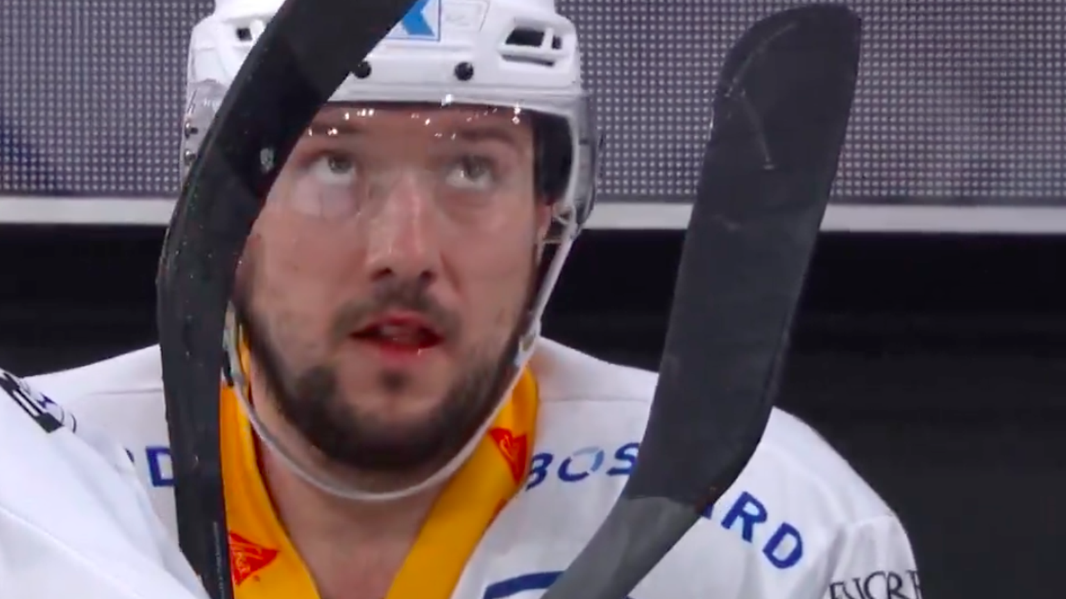 Jan Kovar EVZ HCD Eigentor