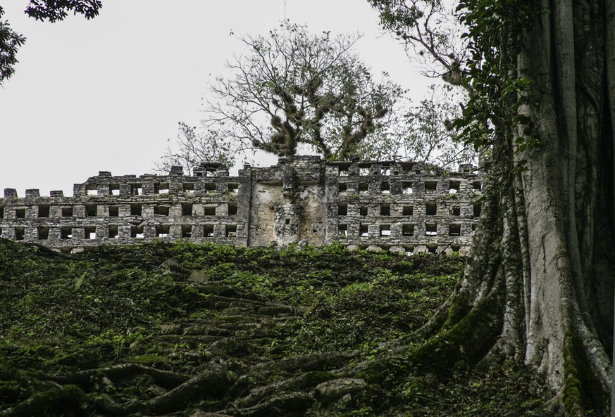 Maya-Stäntte Yaxchilán