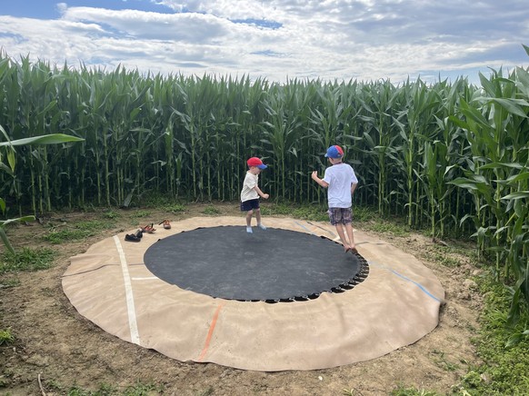 Mathishof Mathis-Hof Bottmingen Maislabyrinth Labyrinth Schweiz