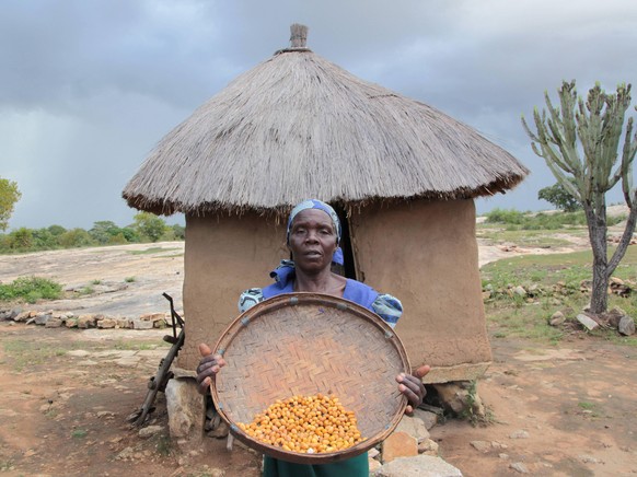 Ndakaitei Mukarati zeigt die Tagesration Nahrung ihrer Familie. Das Bild wurde 2016 aufgenommen, der Hunger ist geblieben.