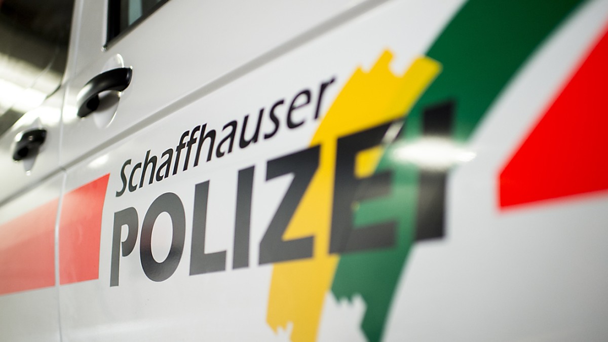 Abhang-heruntergest-rzt-Lehrerin-bei-Schulausflug-in-Schaffhausen-schwer-verletzt