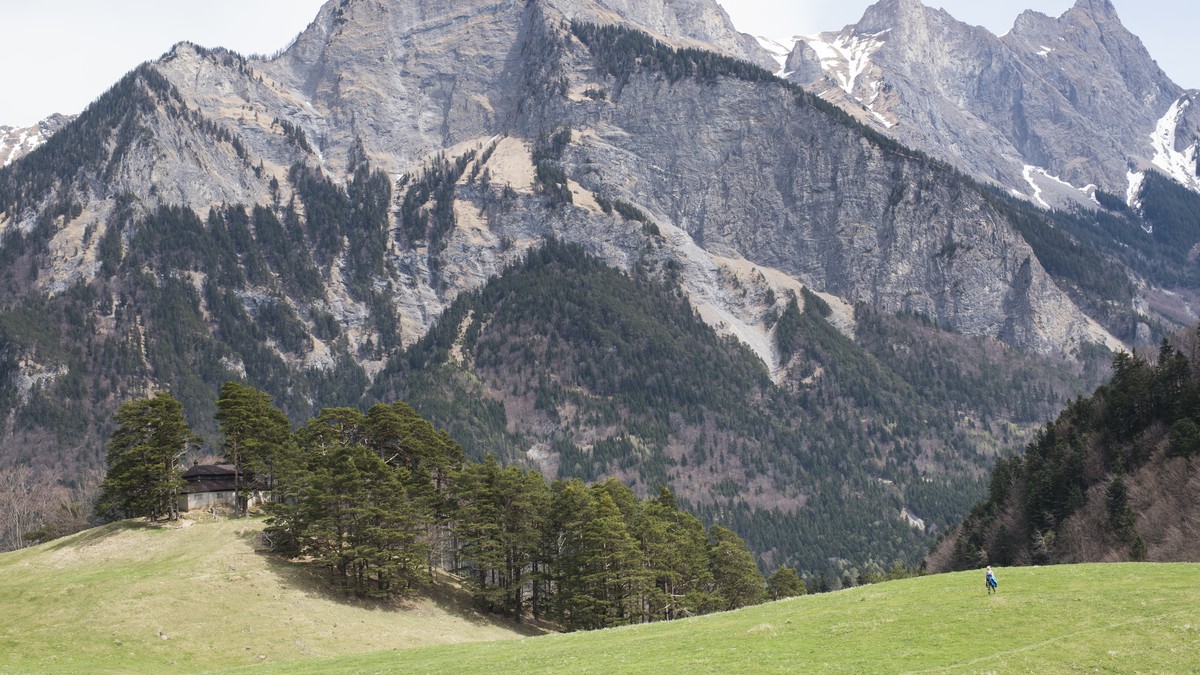 Wildhut-will-Wolf-aus-Jagdbanngebiet-Schwarzhorn-vertreiben