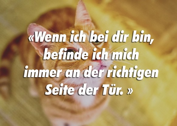 Wenn menschen hinter deinem rücken reden