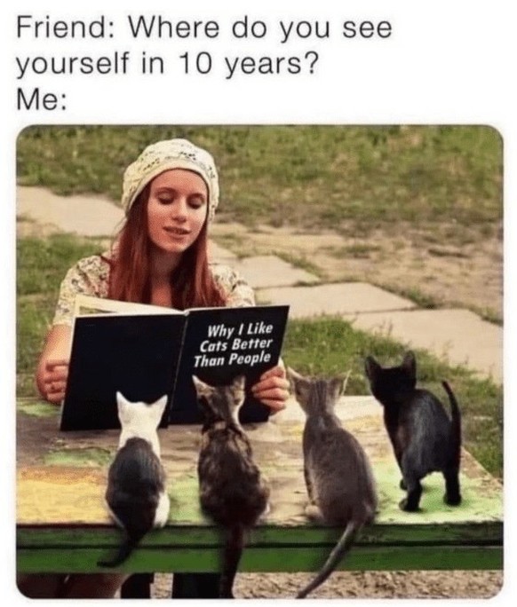 The best memes of the week in the picdump
