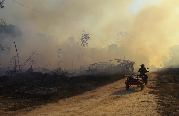 A man rides a motorbike pulling a cart along a paved dirt road in an area scorched by wildfires near Labrea, Amazonas state, Brazil, Friday, Aug. 7, 2020. Labrea has a historically high rate of fires  ...