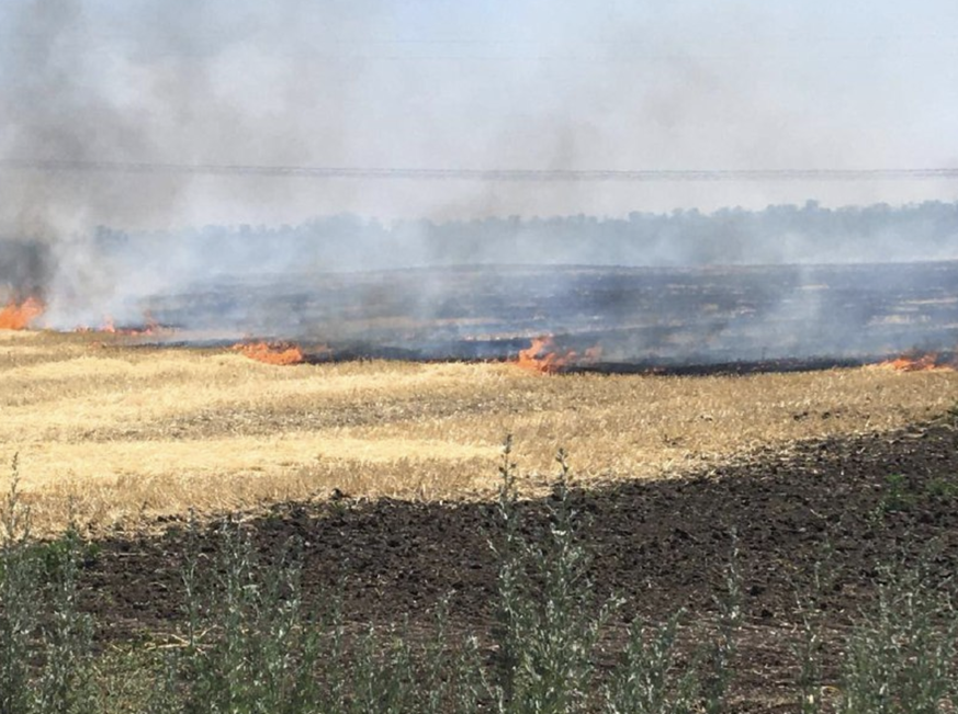 Ein Getreidefeld in der Region Dnipropetrowsk steht in Flammen.