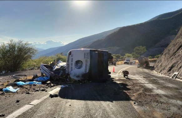 An Bord des Busses waren rund 55 Migranten, grösstenteils aus Venezuela und Haiti.