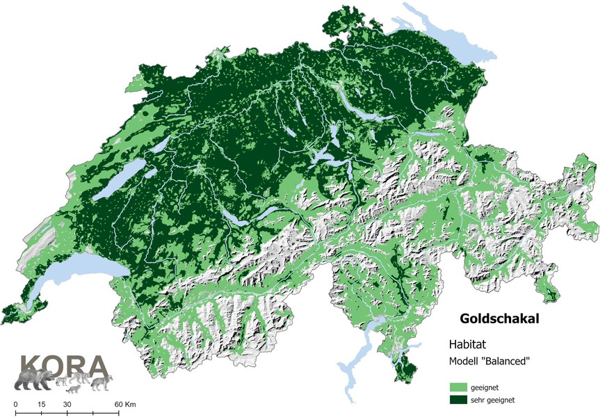 Schweizer Karte von KORA mit geeigneten Lebensräumen für den Goldschakal.