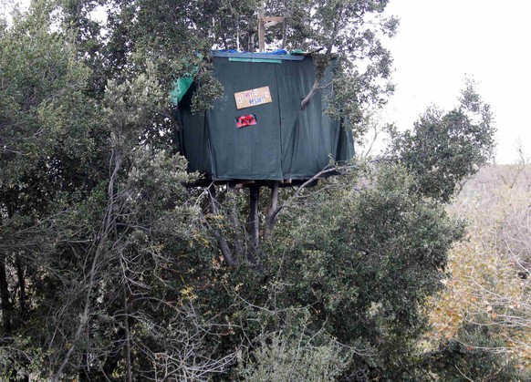 Auch der oder die Bewohner dieses Baumhauses im «Jungle» waren vom Räumungsbefehl betroffen.