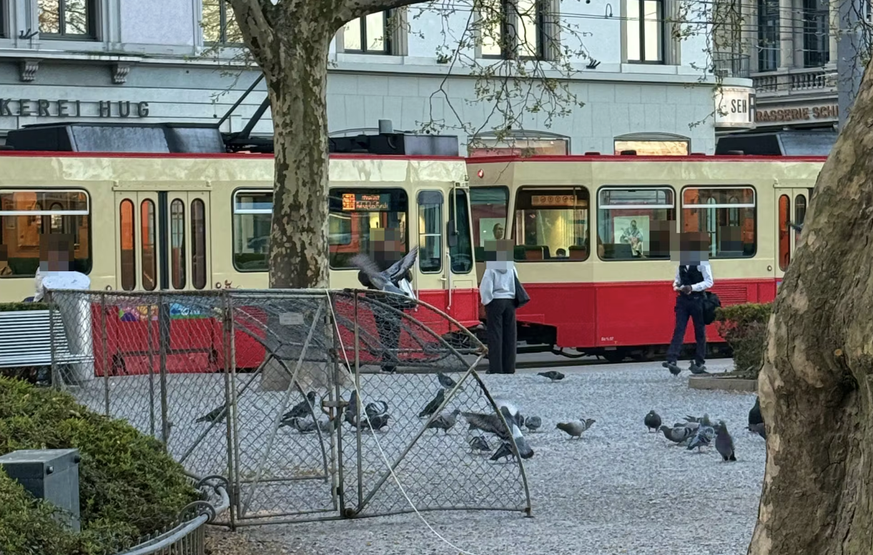Wildhüter stellten eine Taubenfalle am Stadelhoferplatz in Zürich auf.