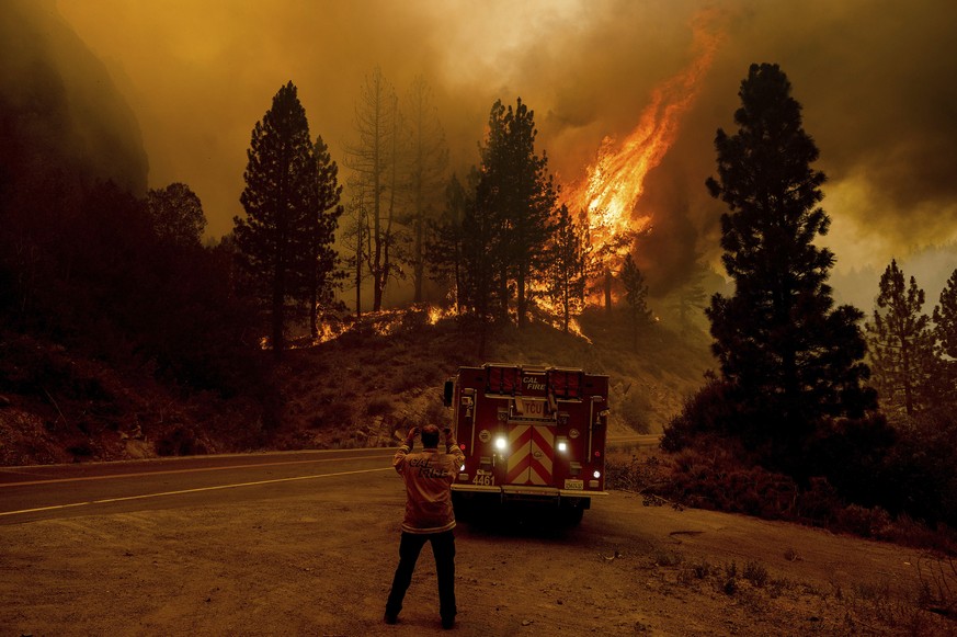 A firefighter prepares to battle the Sugar Fire, part of the Beckwourth Complex Fire, in Plumas National Forest, Calif., on Thursday, July 8, 2021. (AP Photo/Noah Berger)