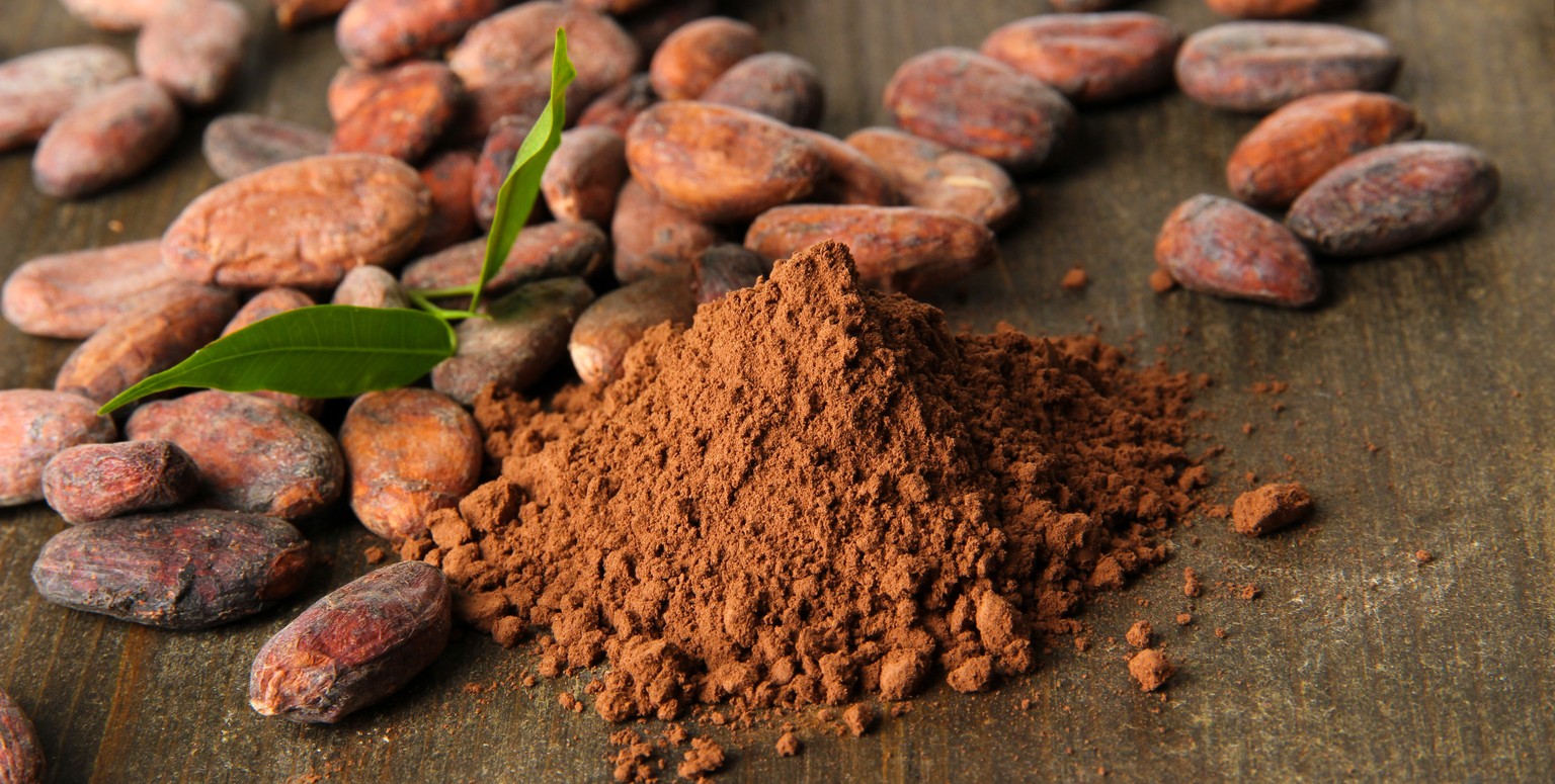 Kakaobohnen und Kakaopulver: Im Kakao enthaltene Flavanoide wirken dem Gedächtnisverlust entgegen. &nbsp;