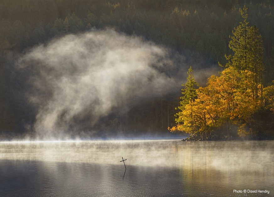 Morning Fog by David Hendry
Finalist, Main category