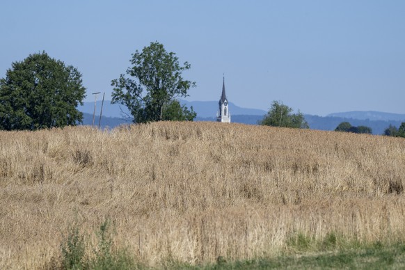 Die Getreidefeld sehen zu dieser Zeit immer ausgetrocknet aus, diese leiden aber ebenso unter der Trockenheit, wie hier in Grosswangen im Kanton Luzern am Freitag, 10. Juli 2026. (KEYSTONE/Urs Flueele ...