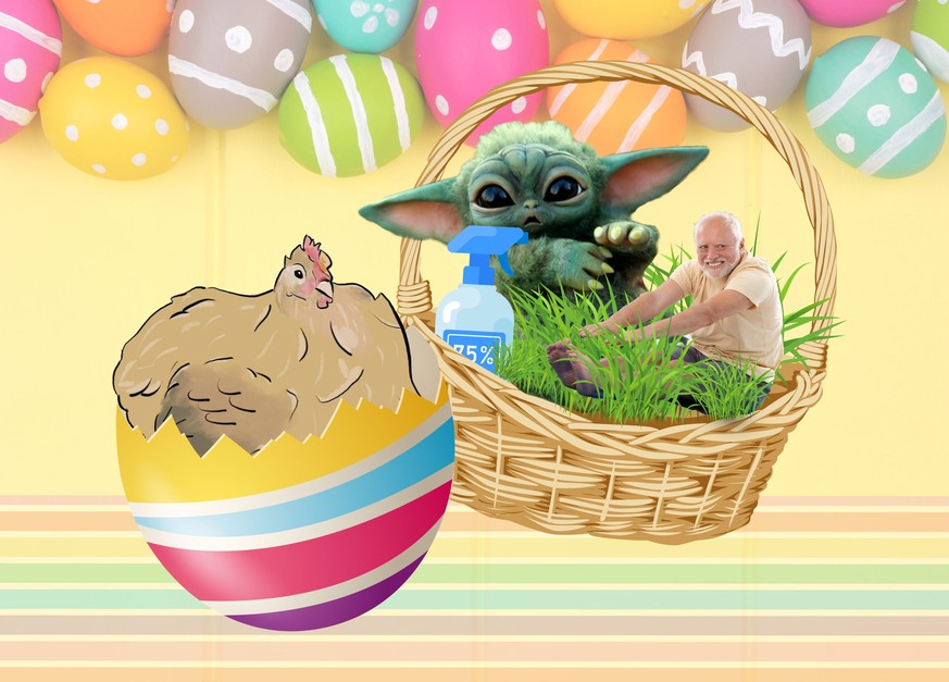 Du kannst aufhören zu suchen, hier bin ich: PICDUMP! 🐰