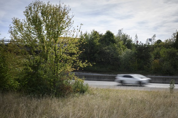 Un indicateur pour le personnel d&#039;entretien est vu au bord d?une d&#039;autoroute lors d&#039;une conference de presse ayant pour but d&#039;expliquer sur le terrain, l&#039;?investissement concr ...