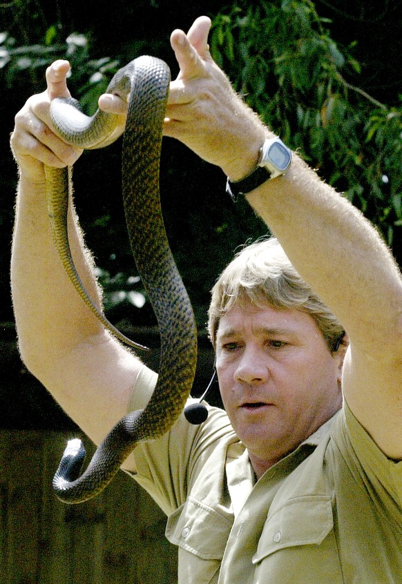 In a photo Australia&#039;s Steve Irwin handles the world&#039;s most venomous snake, the Taipan snake, at the Singapore Zoological Gardens Thursday, March 9, 2006 in Singapore. Steve Irwin, the Austr ...