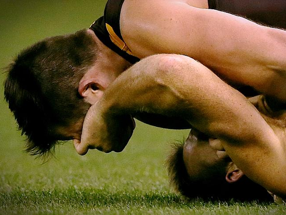 Hier ein Bild der unfairen (Re-)Aktion von Drew Pertie.&nbsp;