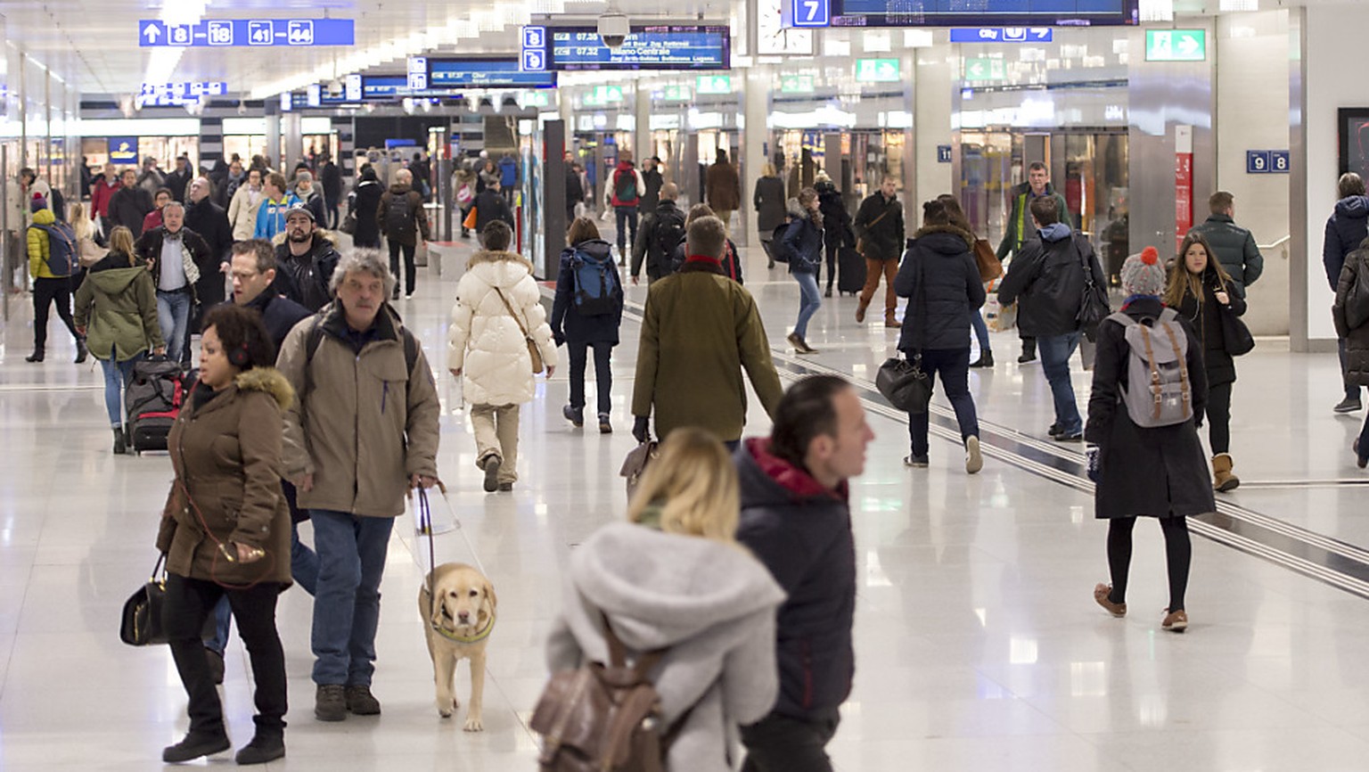 Passagiere und Pendler im Hauptbahnhof Zürich: rund 40 Prozent der Schweizer Bevölkerung besitzt ein GA oder Halbtax. (Archivbild)