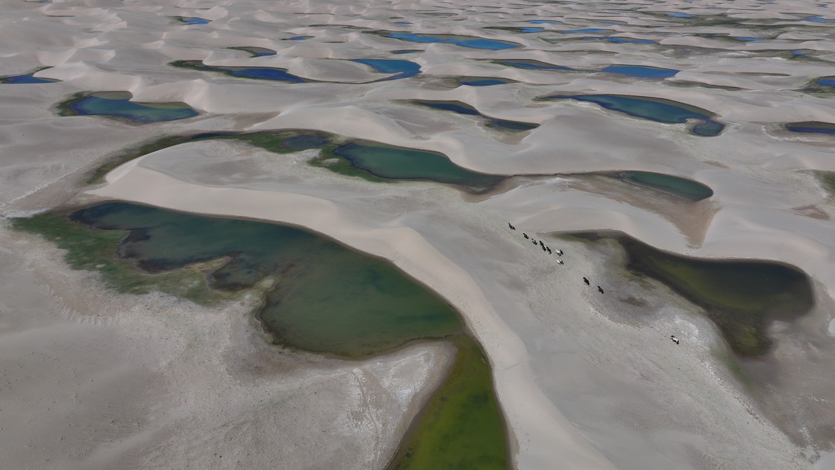 epa12179022 A herd of horses marching in a desert in Kazak Autonomous County of Aksay, northwest China's Gansu Province, 14 June 2025 (issued 16 June 2025). EPA/XINHUA / GAO HONGSHAN CHINA OUT /  ...