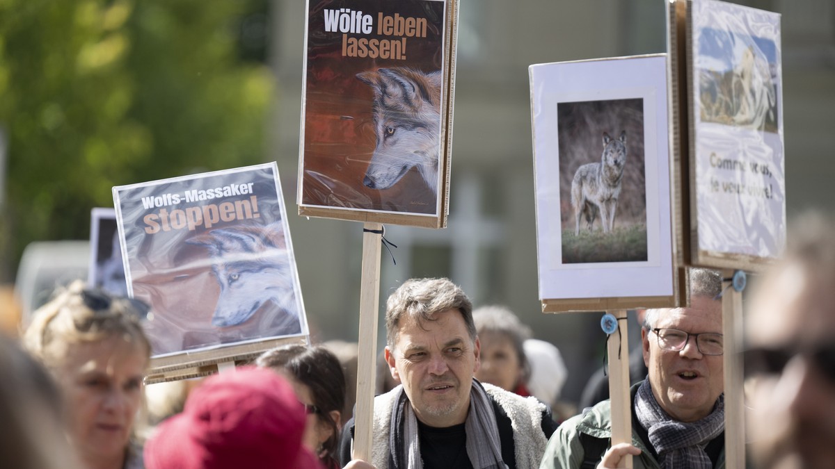 Hunderte-demonstrieren-in-Bern-gegen-Wolfsabsch-sse