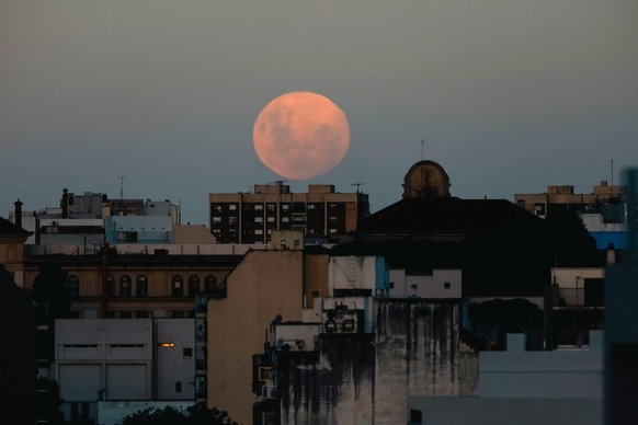 epa12790894 The moon appears over the sky in Buenos Aires, Argentina, 02 March 2026. EPA/JUAN IGNACIO RONCORONI