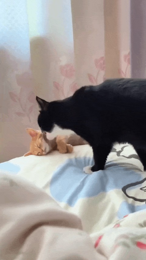 Animiertes GIF