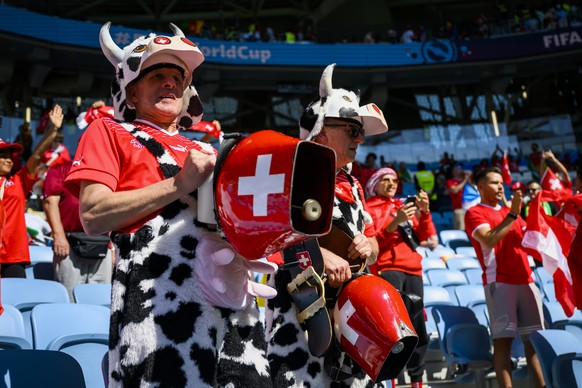 Swiss fans dressed as cows celebrate with bells during the FIFA World Cup Qatar 2022 group G soccer match between Switzerland and Cameroon at the Al-Janoub Stadium in Al-Wakrah, south of Doha, Qatar,  ...