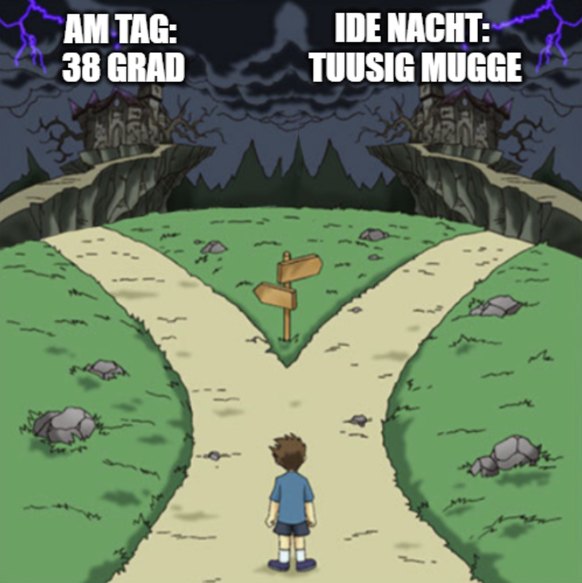 Lustige Memes zu Mücken