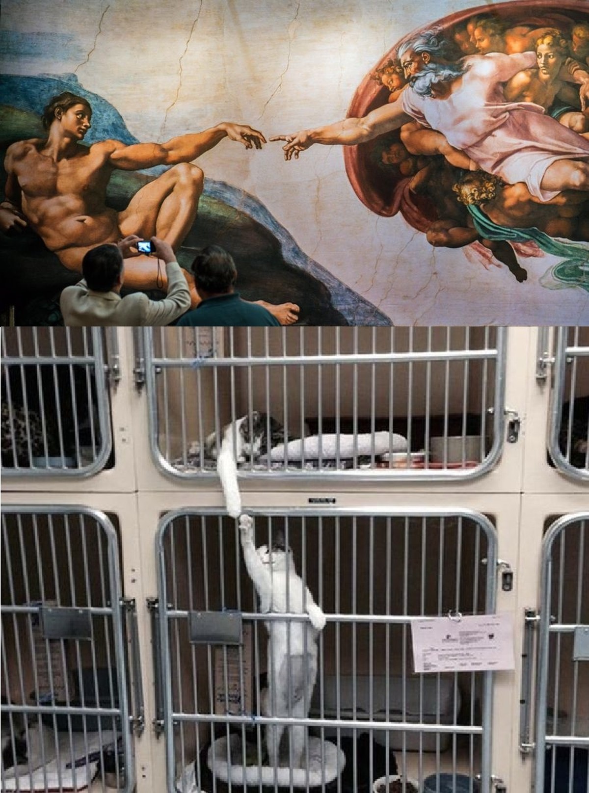 epa05518351 Visitors take pictures a reproduction of the 'The Creation of Adam' fresco painted by Italian Renaissance master Michelangelo at the exhibition 'Michelangelos Sixtinische Ka ...