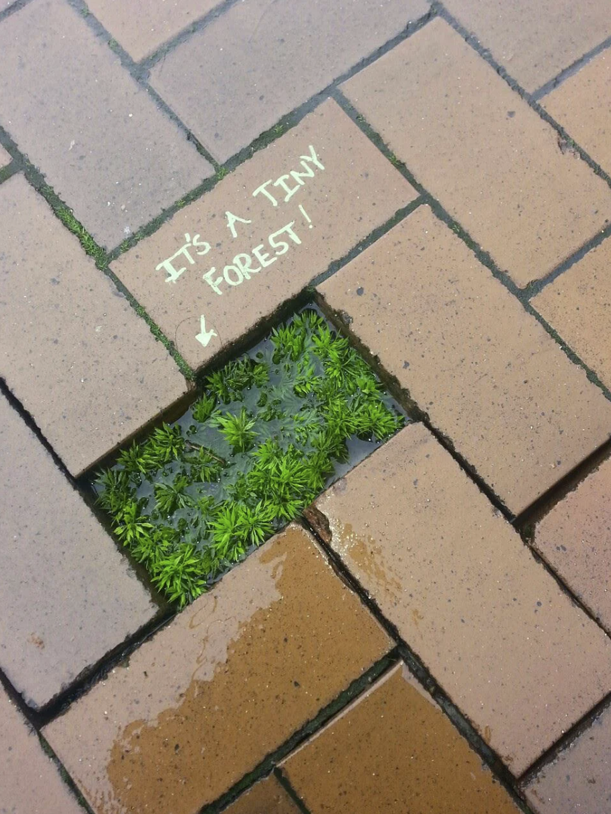 clevere und witzige Street Art