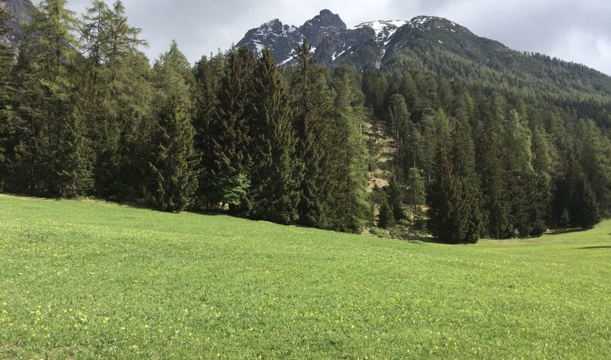 Der Bündner SP-Nationalrat Jon Pult empfiehlt das Engadin.