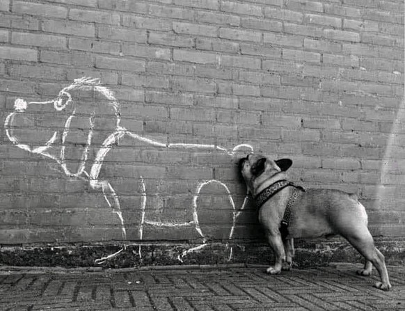 cute news tier hund

https://ch.pinterest.com/pin/15551561209582303/