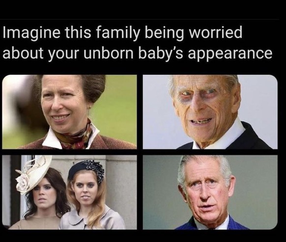 Das Royal-Drama um Meghan und Harry erklärt in Memes