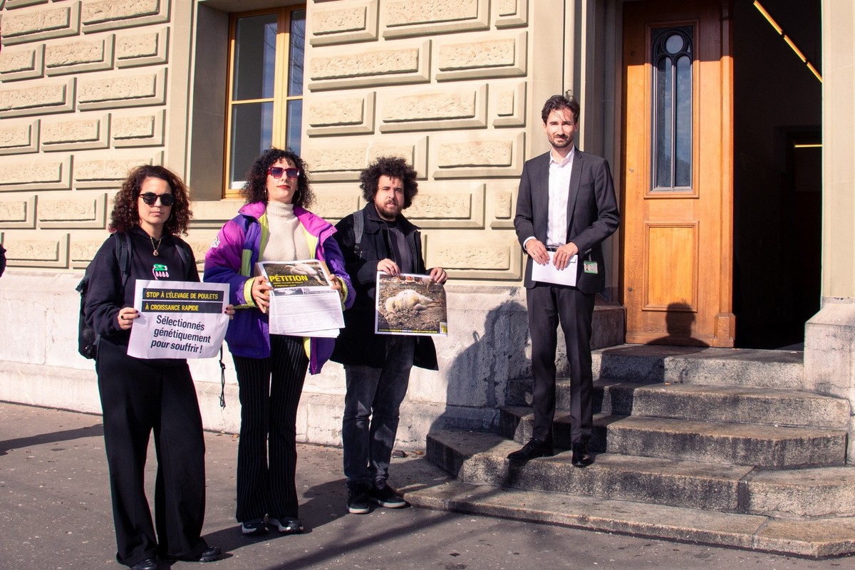 Une pétition lancée au Parlement par l'Observatoire du spécisme.