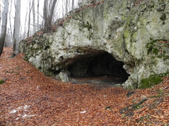 Der Eingang zur Maszycka-Höhle. Die Maszycka-Höhle in Polen ist eine bedeutende Fundstätte aus der späten Altsteinzeit.