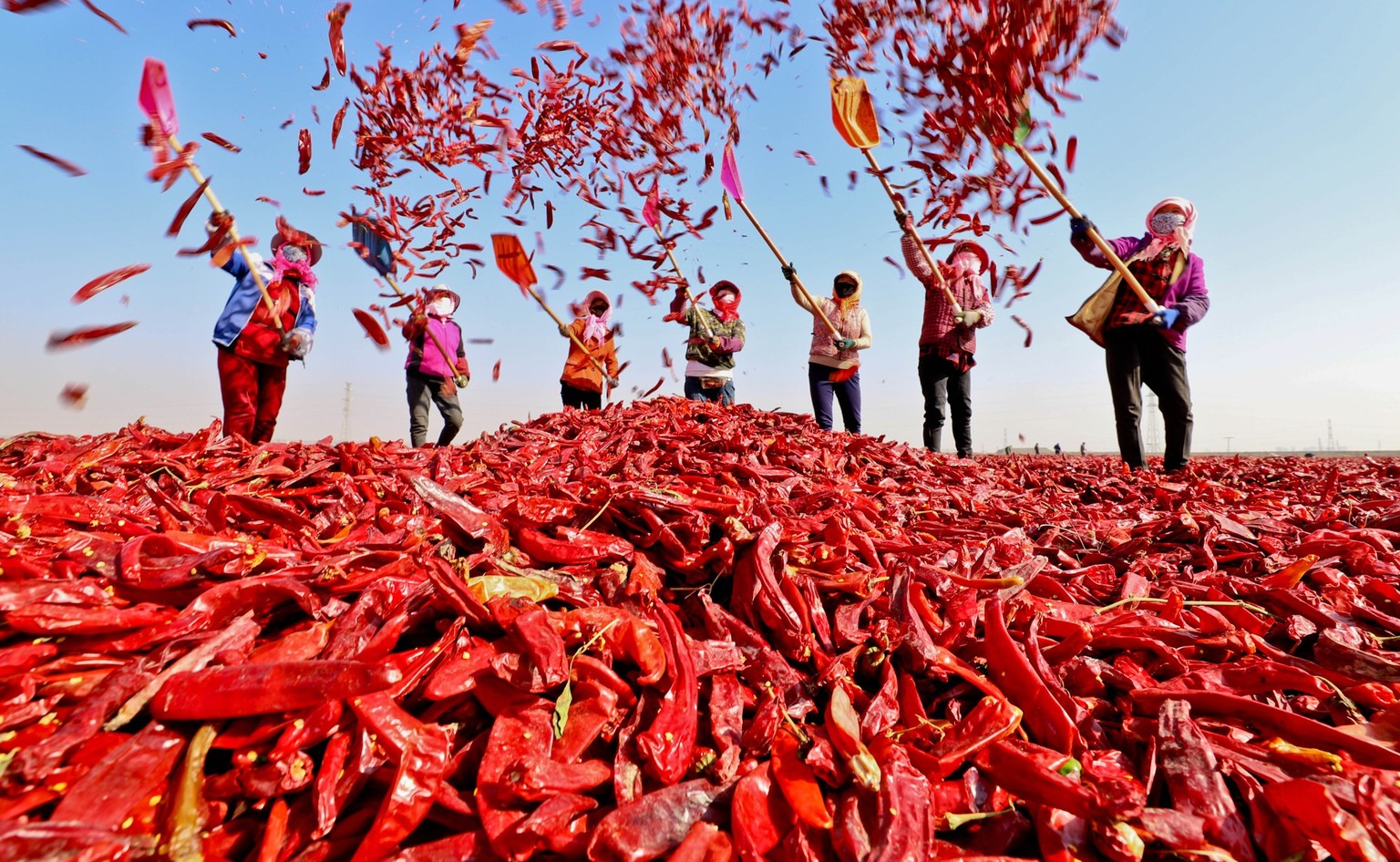 Dorfbewohner schaufeln rote Chilischoten zum Trocknen am 26. Oktober 2022 in Zhangye, China.<br />” data-image-id=”59526808887248″ data-link=”/u/zoom?url=/imgdb/2fa9/Qx,E,0,103,1998,1233,833,555,333,222/595268088887248&caption=The villagers scoop up red peppers to dry April 26 October 2022 in Zhangye, China.<br />&source=Image: VCG/Getty Images”></div>
<div class=